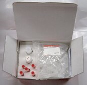 REDExtract-N-Amp™ Plant PCR Kit sufficient for 100 extractions, sufficient for 500 amplifications