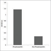 Anti-phospho-p16-INK4a (pSer152) antibody produced in rabbit affinity isolated antibody