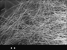 銀ナノワイヤ diam. × L 50 nm × 6 μm, 0.5% (isopropyl alcohol suspension)