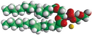 16:0-18:1 PG Avanti Research™ - A Croda Brand