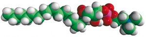 17:0 Lyso PC Avanti Research™ - A Croda Brand