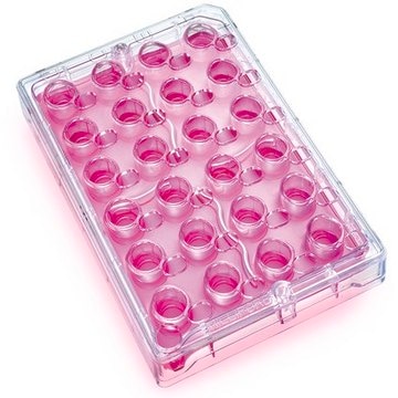 Millicell® 24 well Plates pore size 3 μm, polycarbonate membrane, sterile, Tissue Culture (TC)-treated surface, automation compatible