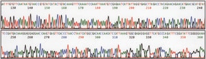 REDExtract-N-Amp™ Seed PCR Kit sufficient for 10 extractions, sufficient for 10 amplifications