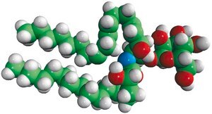 Glucosylceramide (Soy) Avanti Research™ - A Croda Brand