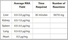 High Pure RNA Tissue Kit sufficient for 50 isolation(s), suitable for RT-PCR, suitable for Northern blotting