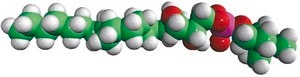 Lyso PAF (from Heart PC) Avanti Research™ - A Croda Brand 840008P, powder