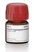 Poly(N-isopropylacrylamide) average Mn 30,000